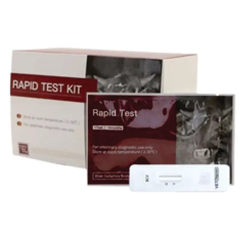 GASTROENTERITIS TRANSMISIBLE