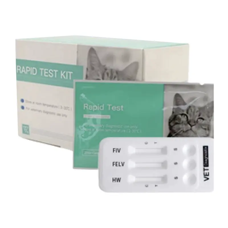 SIDA - LEUCEMIA - CORONAVIRUS